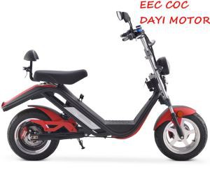 Citycoco потужністю 2100 Вт із законним дорожнім транспортом